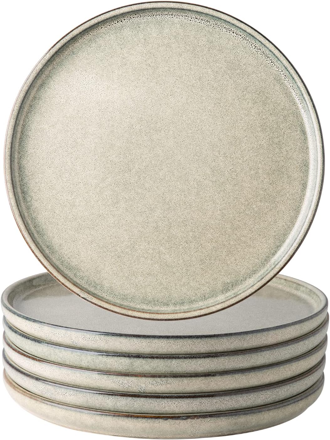 AmorArc Dinner Plates Set of 6, 10.5 Inch Unique Design