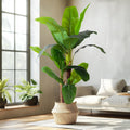 6FT Artificial Banana Tree Faux Banana Leaf Plant - Tropical Decor