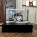 3D Crystal Photo Personalized Dog Cat Memorial Gifts - Keepsake
