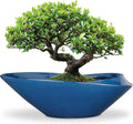 Bonsai Pot 18 Inch Ceramic Planter for Indoor Outdoor Plants