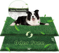Dog Pee Grass Pad Large 3222 - Ultra-Absorbent Dog Potty Pad