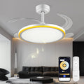 BAYSQUIRREL Slim Retractable 42in Smart Ceiling Fan with Light - Quiet