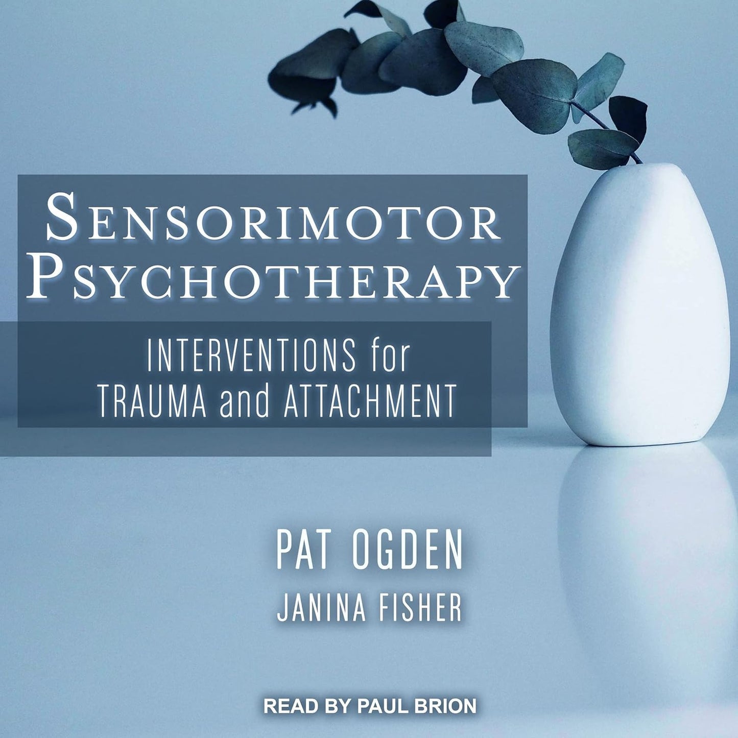 Sensorimotor Psychotherapy Techniques for Trauma and Attachment
