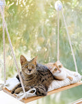 Cat Window Perch for Large Cats - Hammock Bed for Heavy Cats