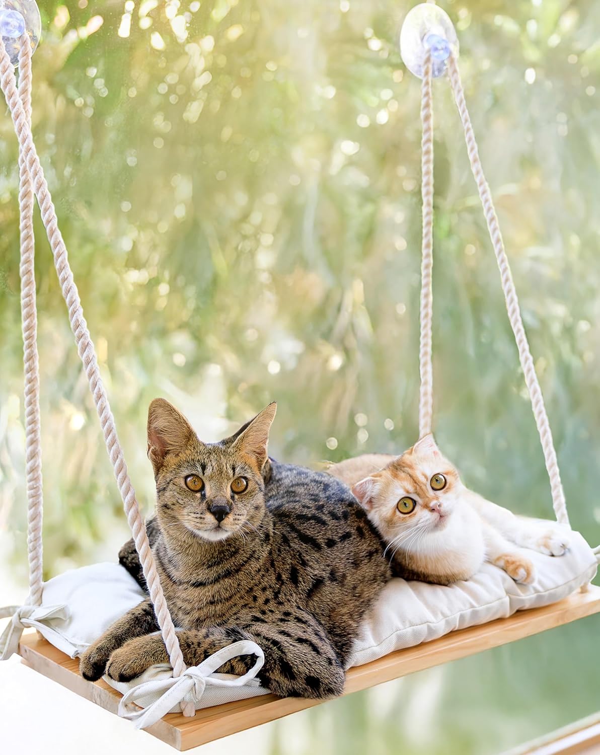 Cat Window Perch for Large Cats - Cozy Hammock Bed for Pets
