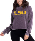 chicka-d Womens Campus Cropped Hoodie - Soft Burnout Fleece