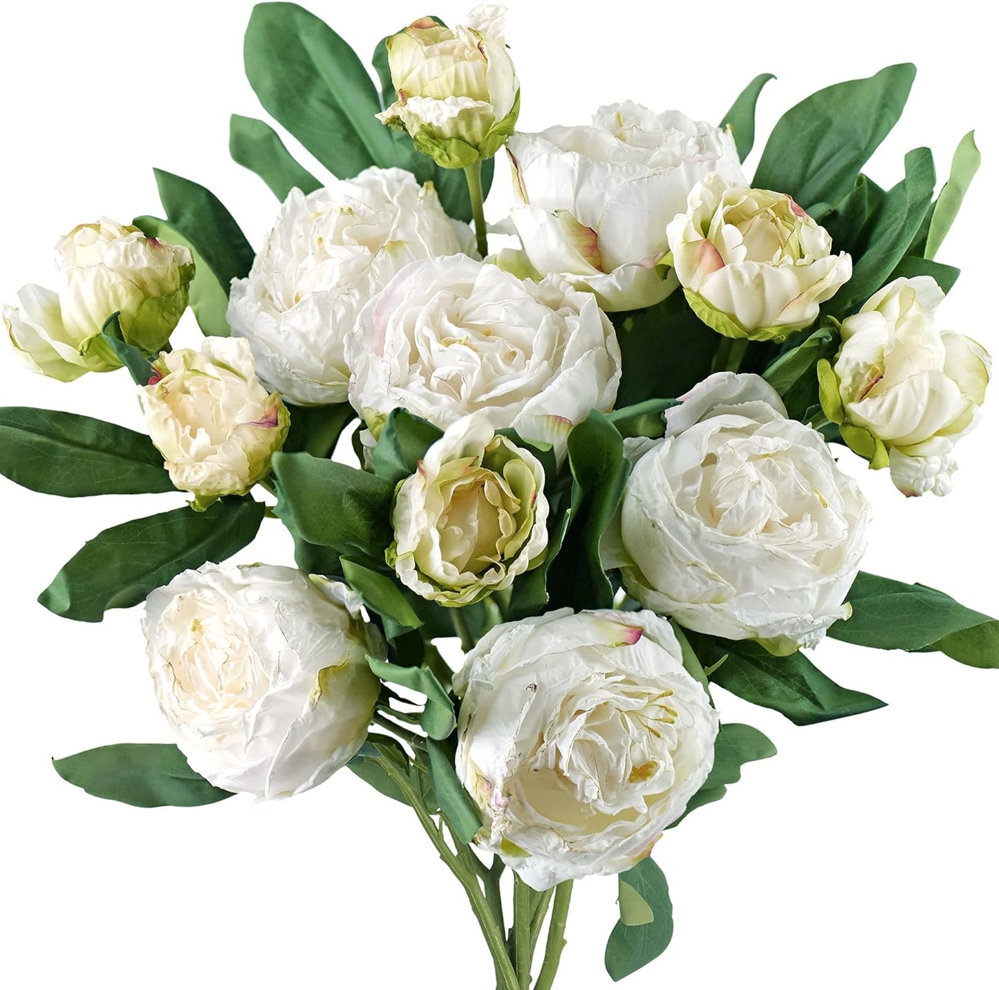 Vintage White Peonies for Rustic Home Decor and Weddings