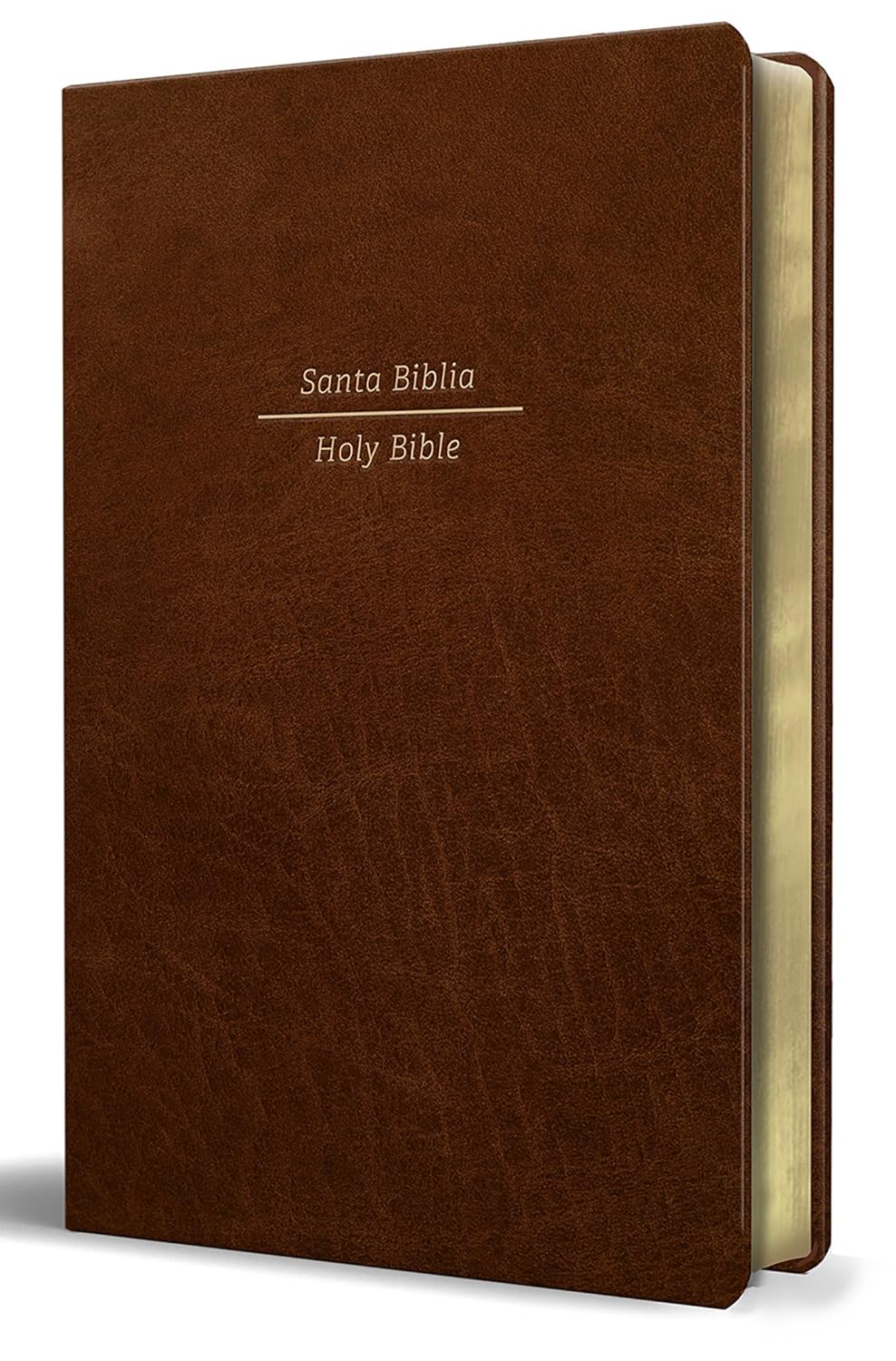 Bilingual Bible RVR60/English Standard Large Print Leather