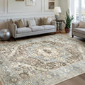 Area Rugs for Living Room 9x12 Vintage Oriental Low Pile Rug - Machine