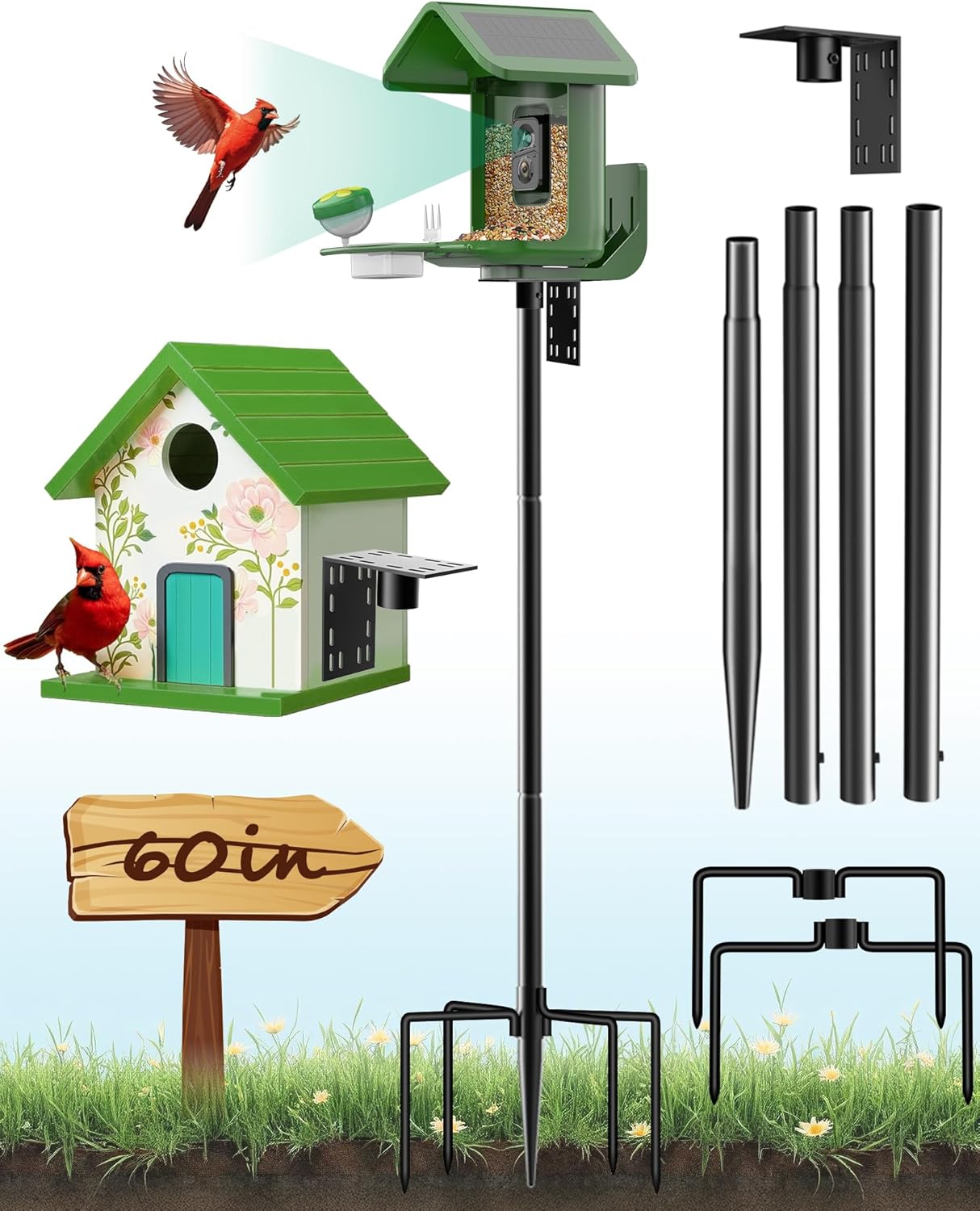 Bird Feeder Pole 60 Inch Height for Outdoor Bird Feeding