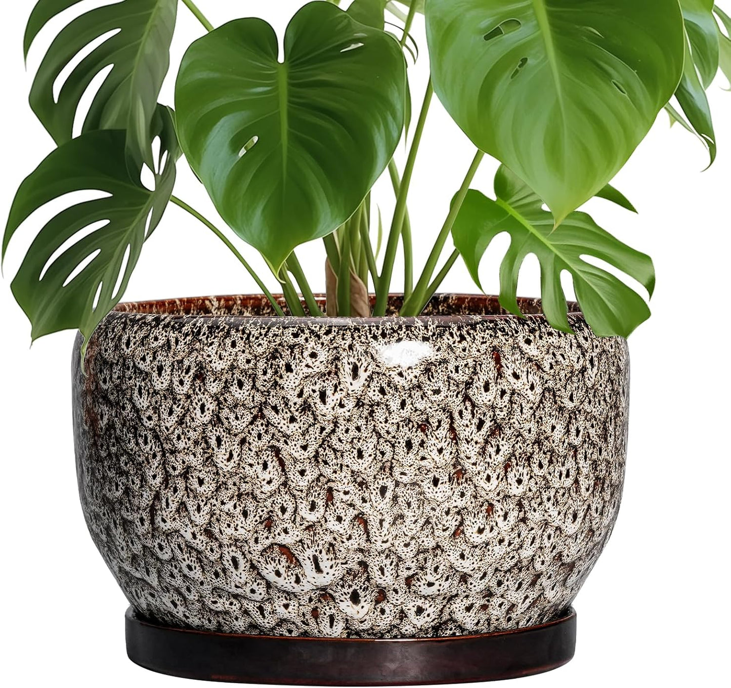 SQOWL Ceramic Plant Pots - 10 Inch Planter for Indoor Plants