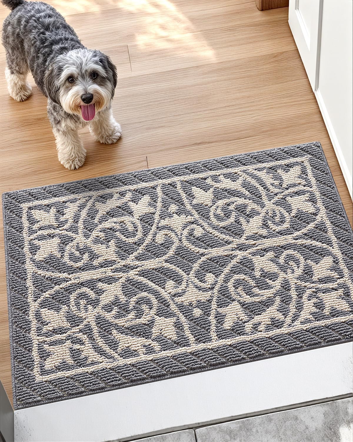 DEXI Front Door Mat Entryway Low Profile Non Slip Washable Rug