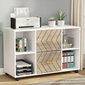 Lateral 2 Drawer File Cabinet for Letter Size - Mobile Printer Stand