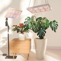 Plant Grow Light 60W Full Spectrum - Smart APP Control for Indoor