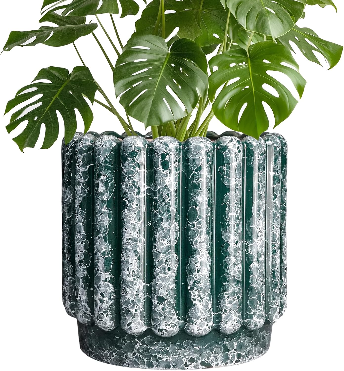 Stylish 9.6 Inch Ceramic Pots for Plants with Drainage Hole