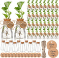 Baderke 3.35ft' Plastic Plant Propagation Stations for Plant Lovers