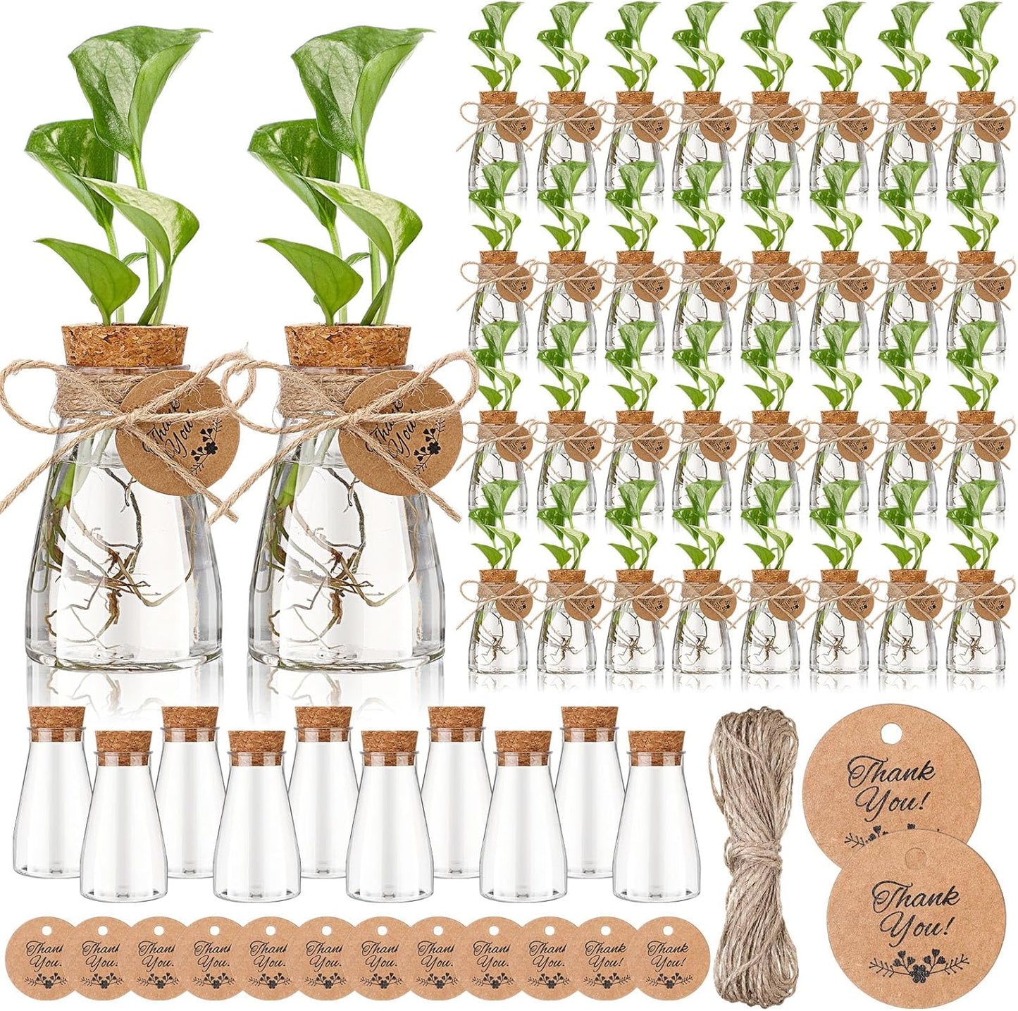 Baderke 3.35ft' Plastic Plant Propagation Stations for Plant Lovers