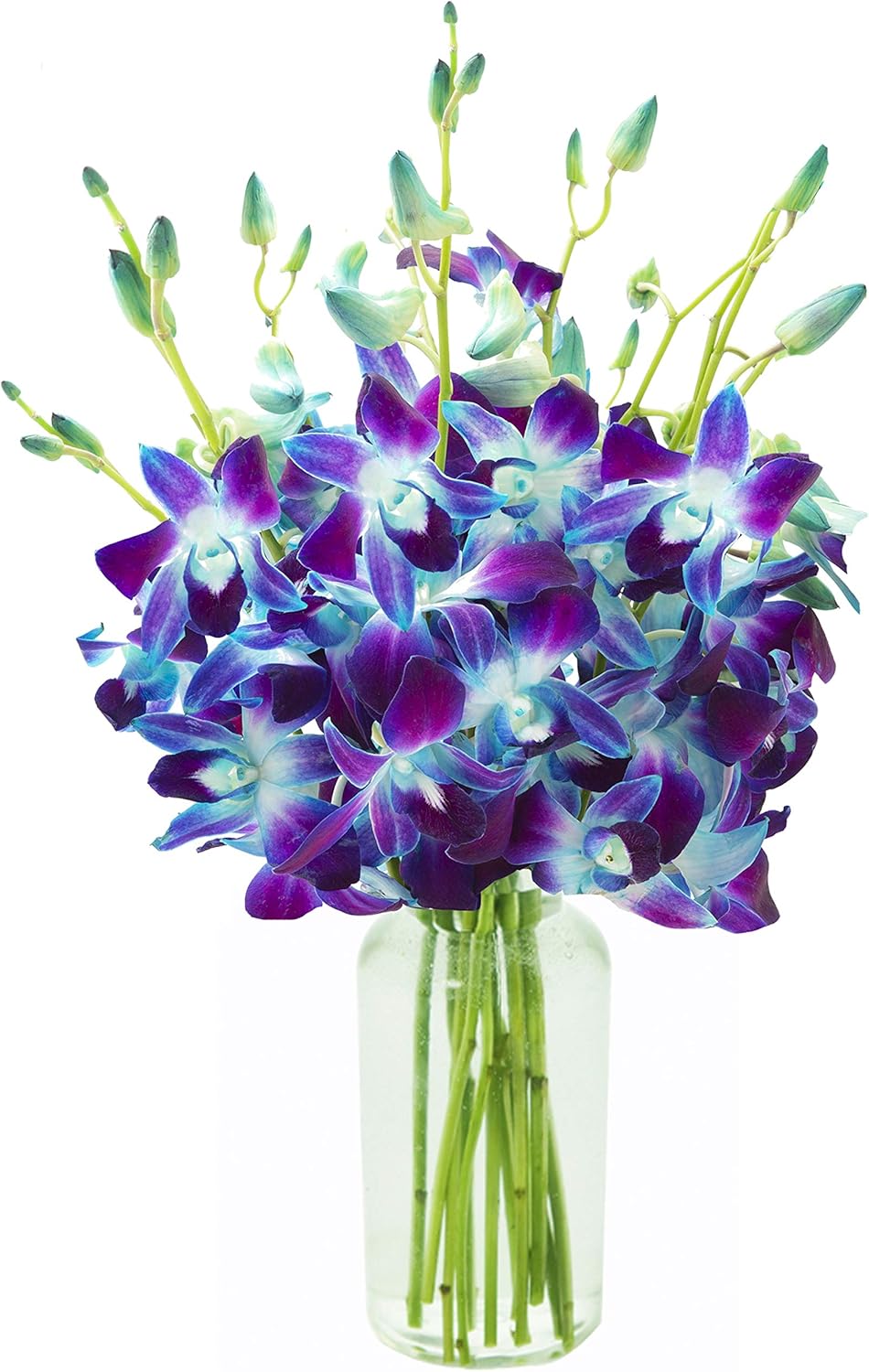 KaBloom Flowers Exotic Sapphire Orchid Bouquet Review