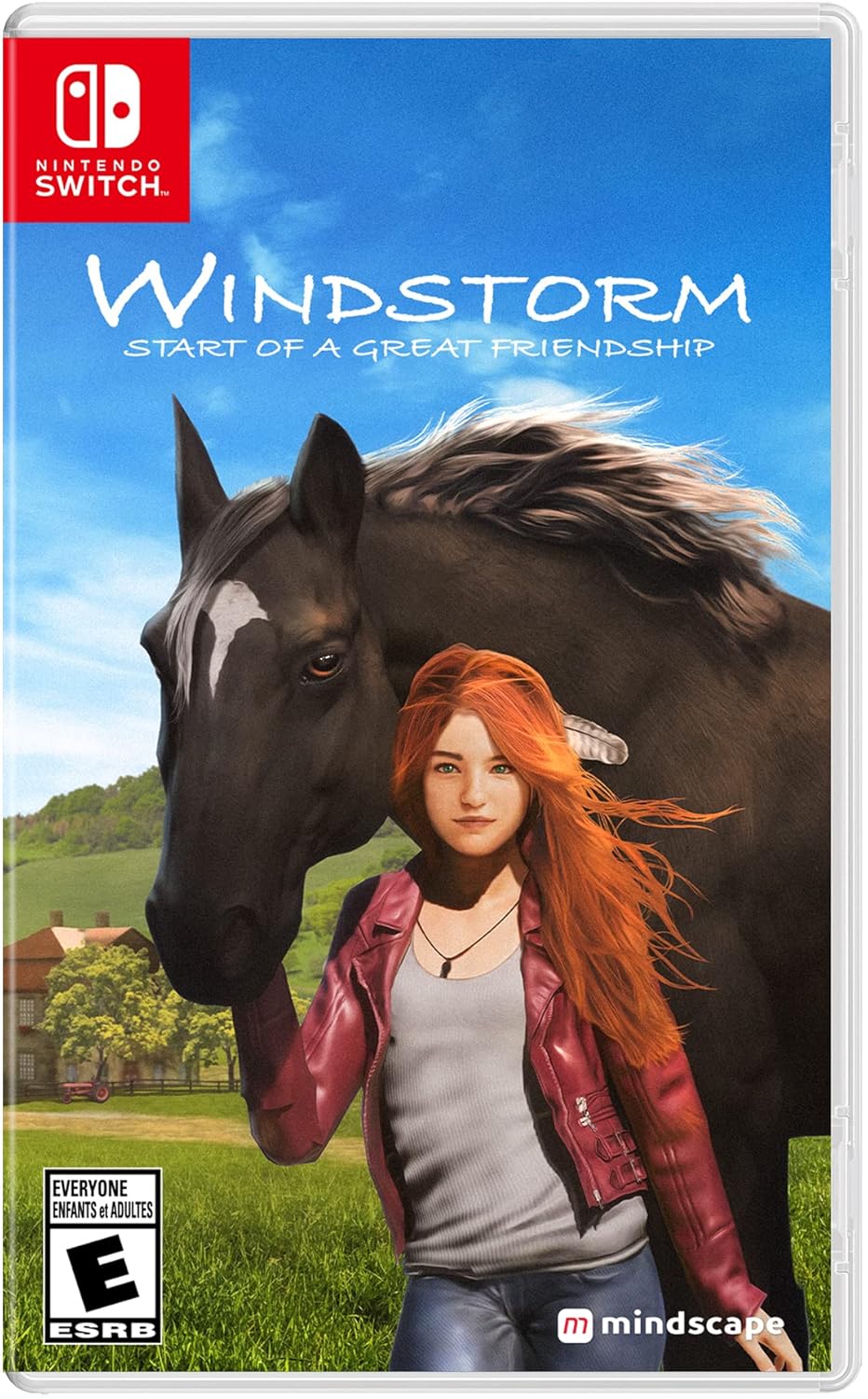 Windstorm: Start of a Great Friendship for Nintendo Switch
