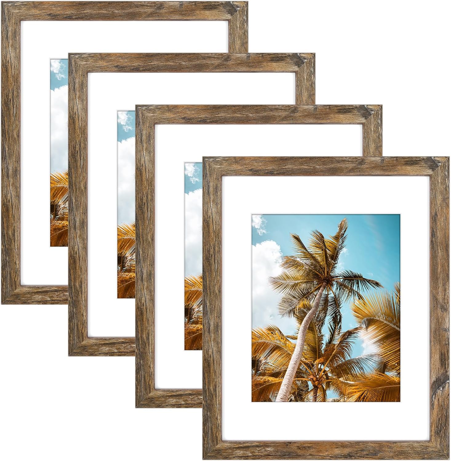 Frametory 11x14 Picture Frame With Mat for 8x10 Photos - 4 Pack