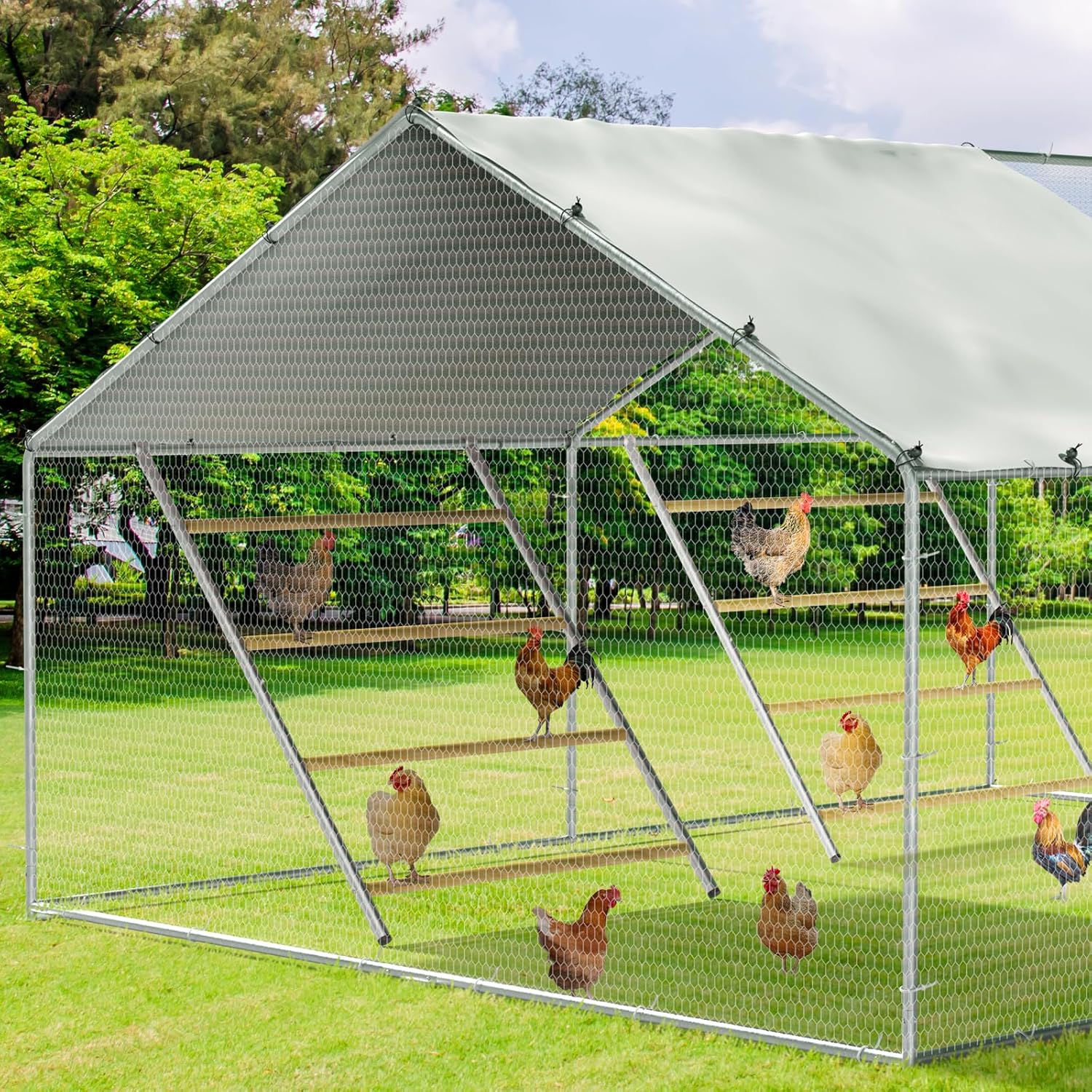 Chicken Coop Roosting Perch for Backyard Poultry - Easy to Clean
