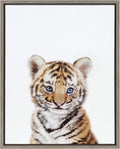 Baby Tiger Portrait Framed Canvas Wall Art - Adorable Nursery Decor
