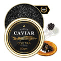 Overnight Guaranteed BESTER Premium Russian Osetra Sturgeon Black