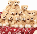 MaoGoLan 12 Pack Teddy Bears 14 in Bulk - Soft, Washable Set