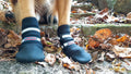 All Weather Neoprene Dog Boots Black XL - Reflective Straps
