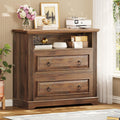 Itaar 2 Drawer File Cabinet for Home Office Organization