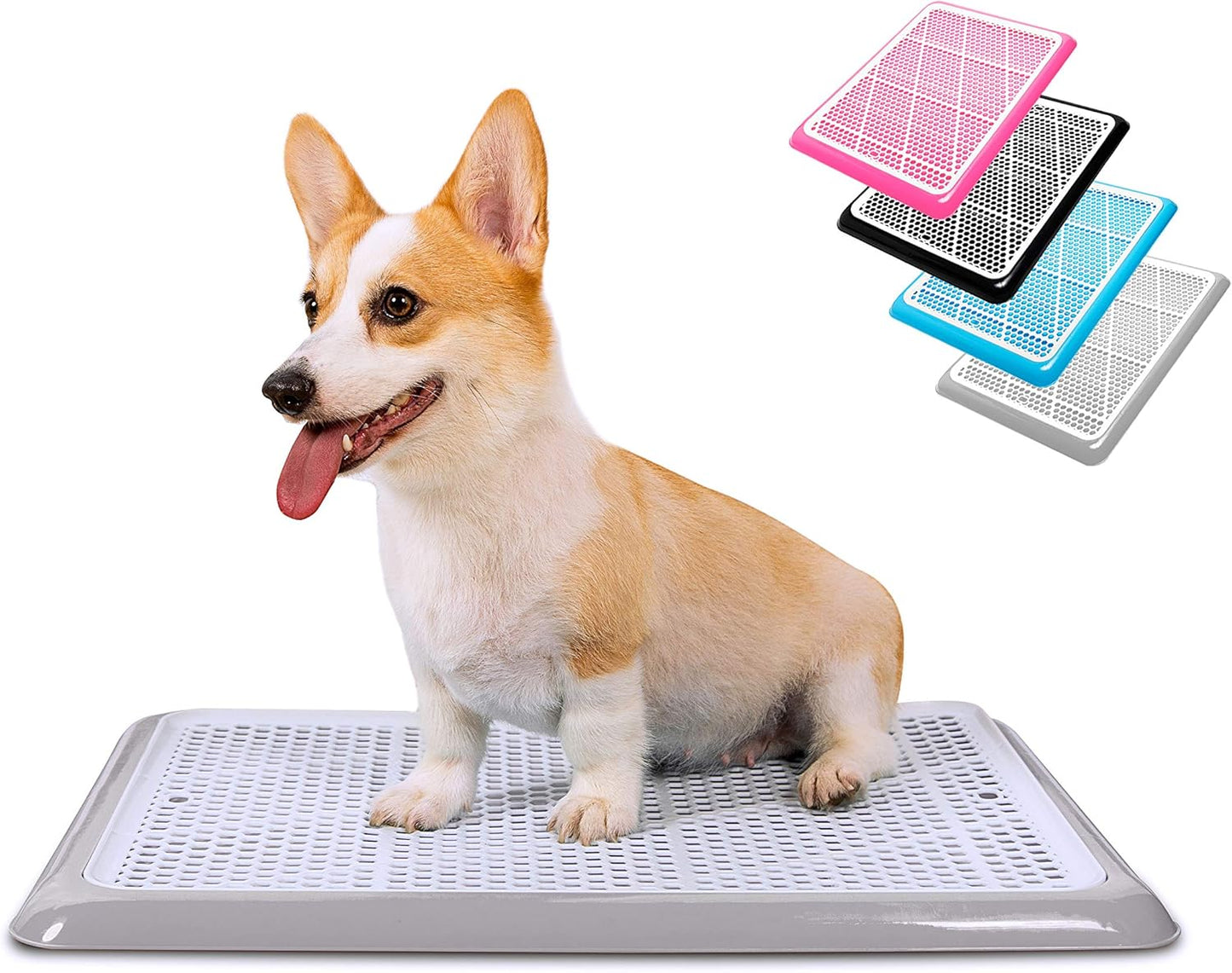 Pet Awesome Dog Potty Tray for Indoor Wee Training Needs