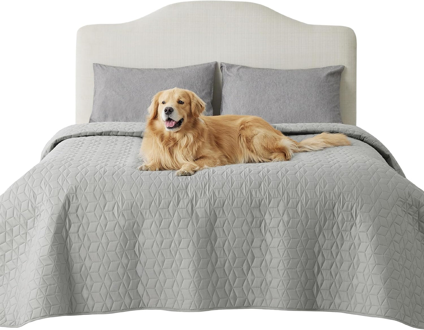 Waterproof Bed Cover for Dogs - Non Slip Furniture Protector