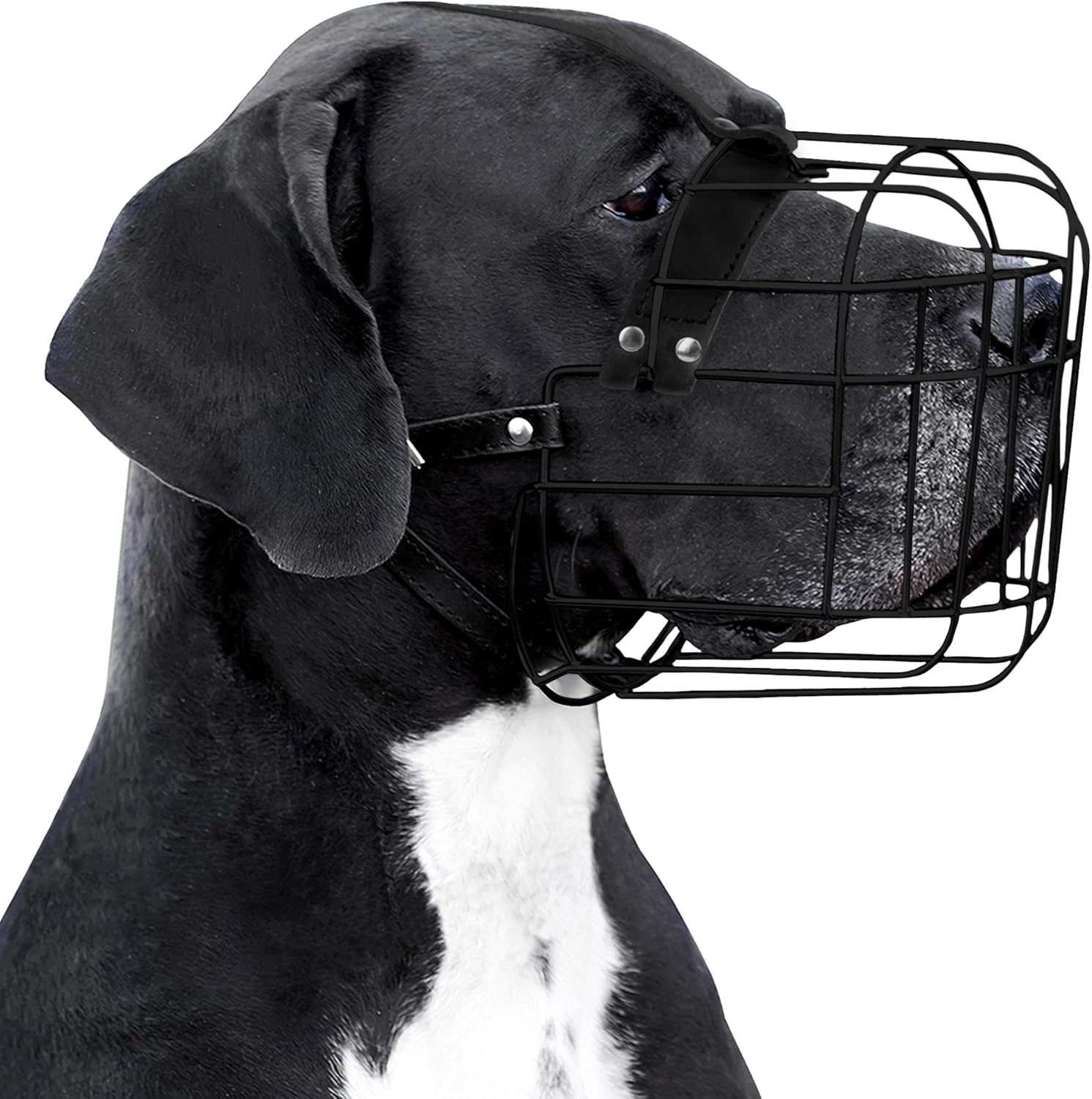 Durable PVC Wire Basket Dog Muzzle for Large and Extra Large Dogs