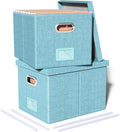 File Storage Organizer 2 Pack - Portable Letter/Legal Filing Box