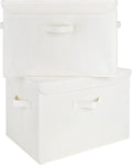 GRANNY SAYS Storage Boxes with Lids, Large 2-Pack - Extra Capacity