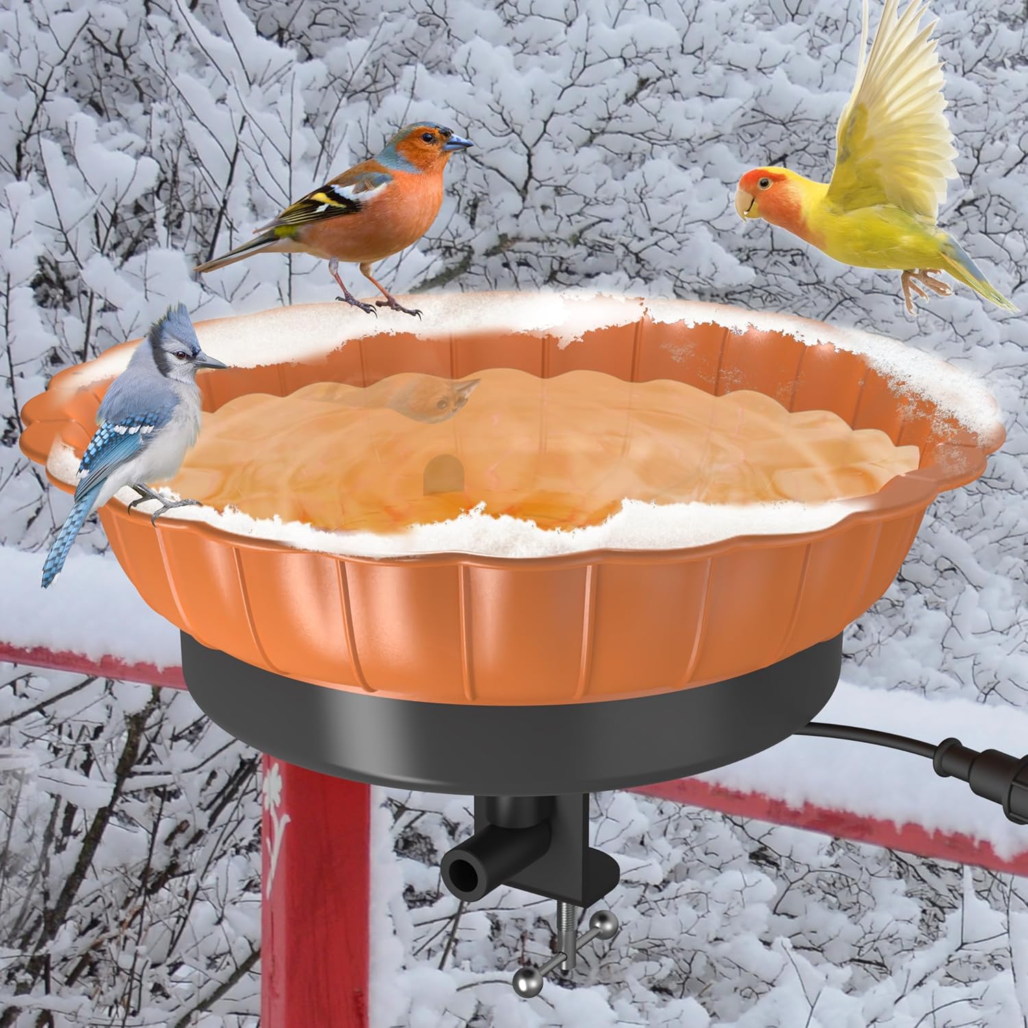 Thermostatically Controlled Heated Bird Bath
