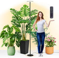 chiphy Grow Lights 85in Full Spectrum Plant Light - Tall 40W Grow Lamp