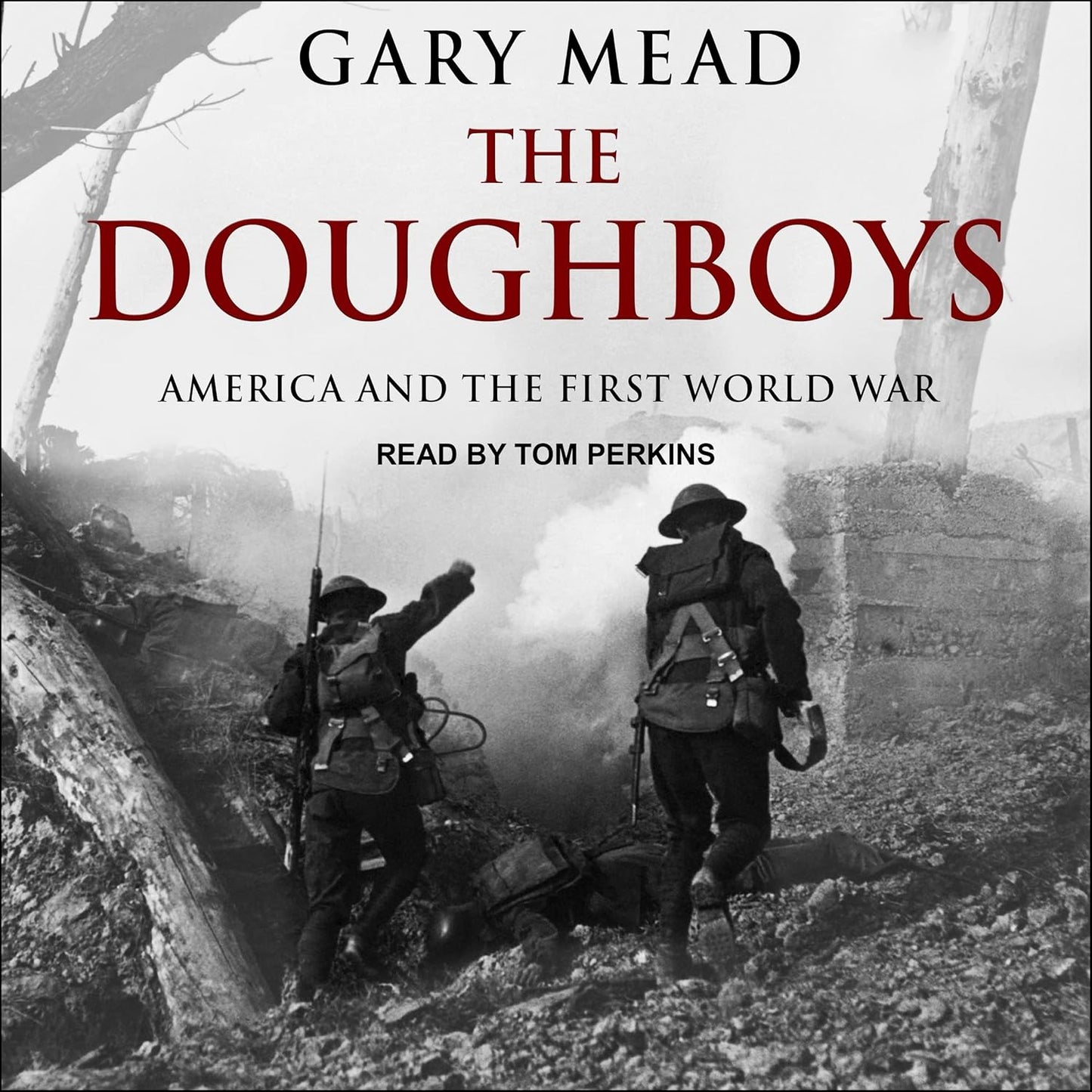 The Doughboys: America and the First World War - A Comprehensive Look