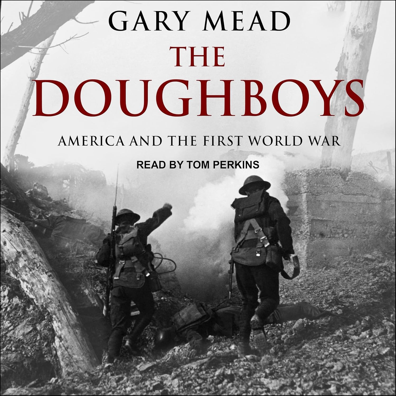 The Doughboys: America and the First World War - A Comprehensive Look