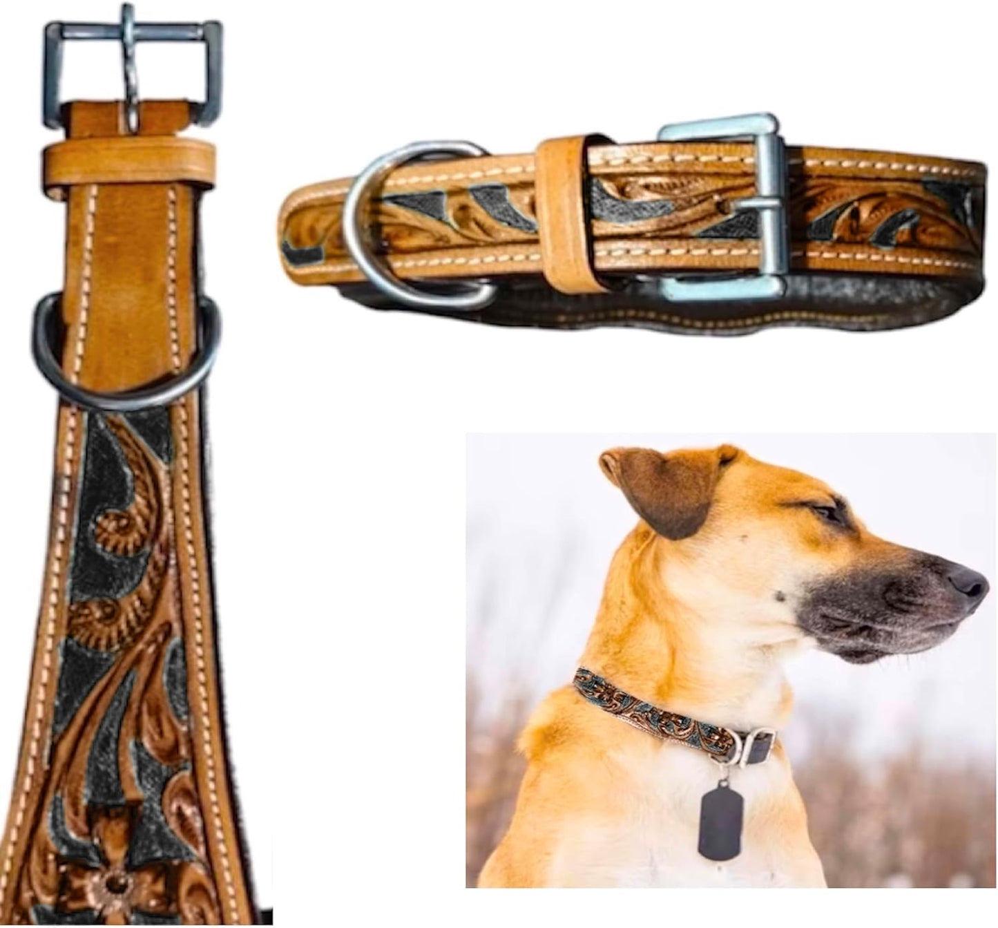 Majestic Ally Leather Dog Collar for Stylish Adventures