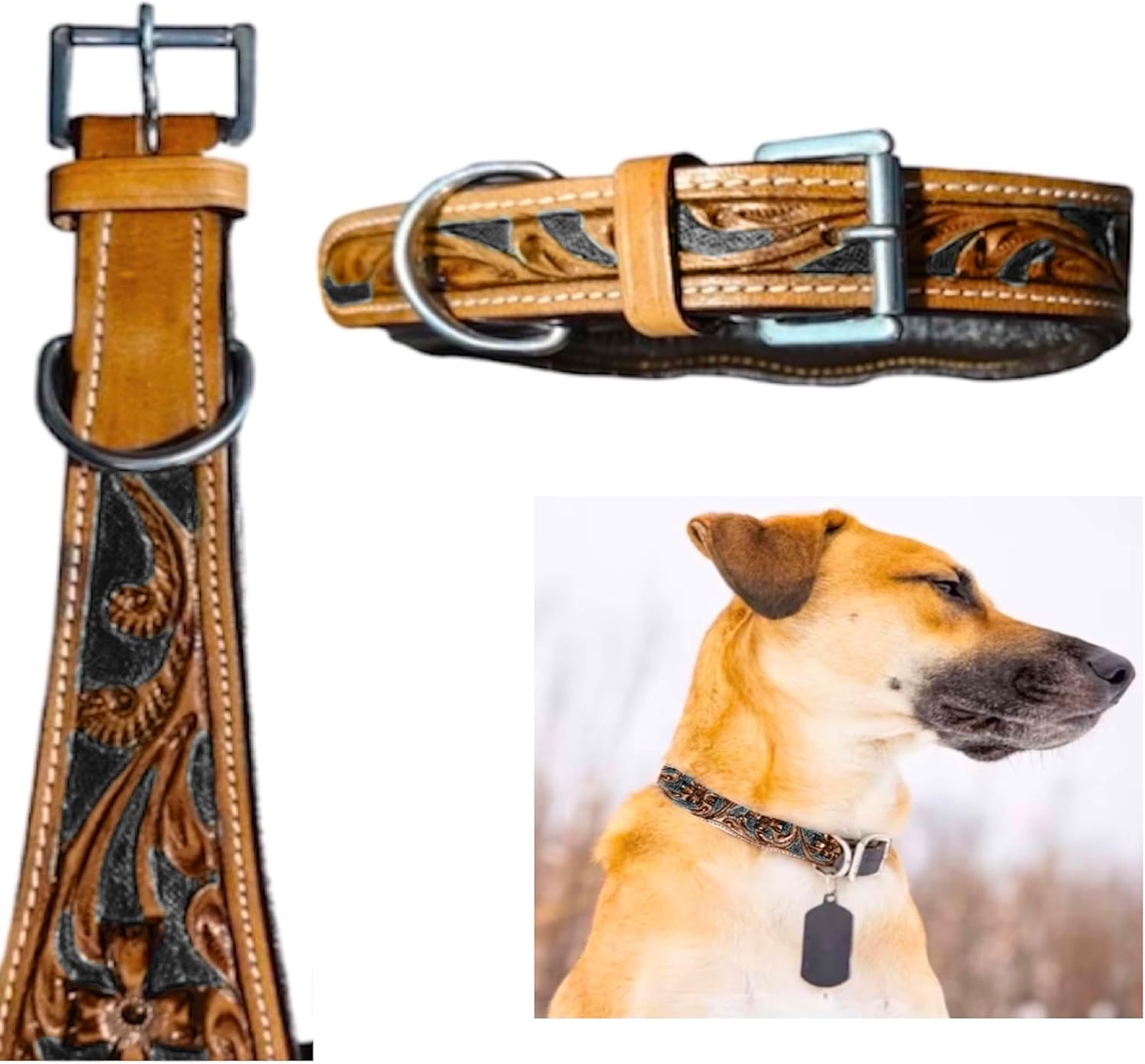 Majestic Ally Leather Dog Collar for Stylish Adventures