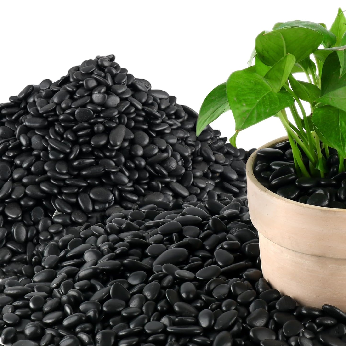 45LB Polished Black Pebbles for Landscaping and Decoration