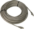 Cat6 Gigabit Plenum-Rated Snagless Molded Patch Cable - 100 ft
