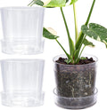 Phoenix Vine 6.5 in Clear Acrylic Planter Pot Set of 3 - See Roots