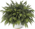 18in Real Touch Cedar Branches - 24 Pack Faux Pine Picks for Decor