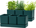 D'vine Dev Herb Garden Planter Set - Compact Indoor Window Herb Pots