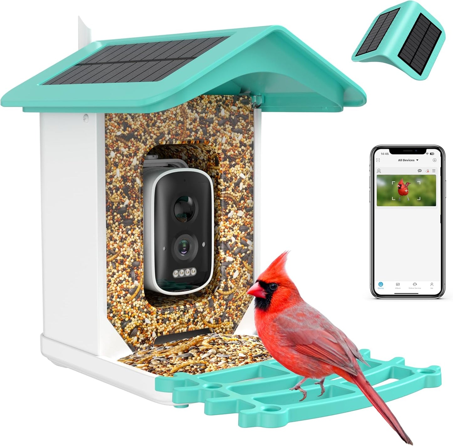 Solar-Powered Smart Bird Feeder: Identify 11,000+ Species