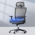 FLEXISPOT Ergonomic High Back Mesh Office Chair - Supportive Comfort