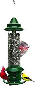 Squirrel Buster Plus Squirrel-proof Bird Feeder - Large Capacity