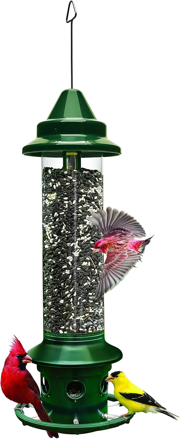 Squirrel Buster Plus Squirrel-proof Bird Feeder for Outdoors